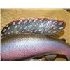 Image 3 : Wonderful wood carving by Michael Scott of Grayling, 16" long 12" tall (2)