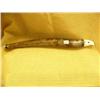 Image 1 : 18.5" oosik with ivory eagle head (2)