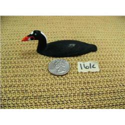 CHOICE on 4 Al Mayac 3" birds: Surf Scoter (2)