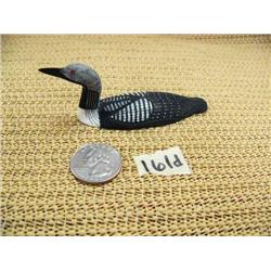 CHOICE on 4 Al Mayac 3" birds: Arctic Loon (2)