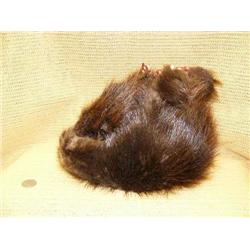 Beaver skin hat (165)