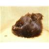 Image 1 : Beaver skin hat (165)