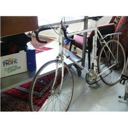 Fuji Bike (165)