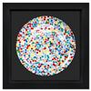 Image 1 : Damien Hirst "The Currency" Framed Plate