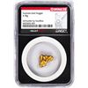 Image 2 : 4.78 Gram Australia Gold Nugget NGC Vaultbox Unvaulted