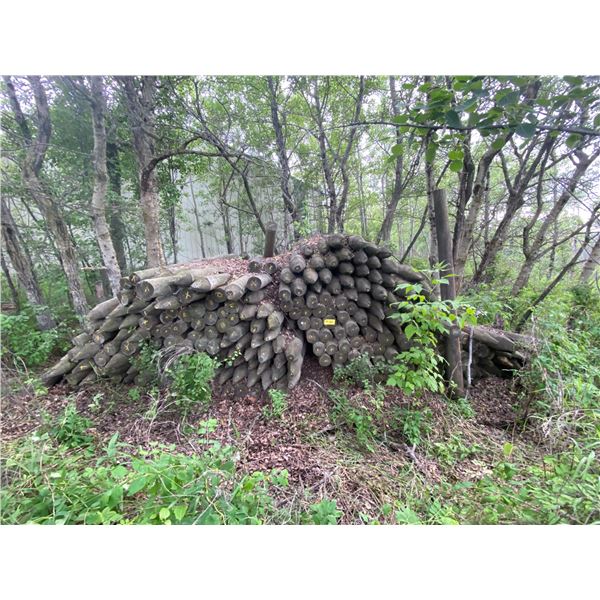 Approx. 250-275 (no guarantee on count)- 4 to 5 inch, 8 ft sharpened fence posts, sold by the pile (