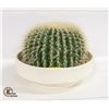 Image 1 : LARGE FAUX POTTED CACTUS 15" X 11" HIGH