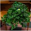 Image 1 : 2 FAUX PLANTS