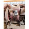 Image 3 : International LB Stationary Engine 3-5 HP SN54663