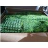 Image 1 : Artificial Grass 9.5x9.5, 43 Pieces