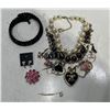 Image 1 : Collection of Costume Jewellery Necklaces, Earrings and Hair Pins