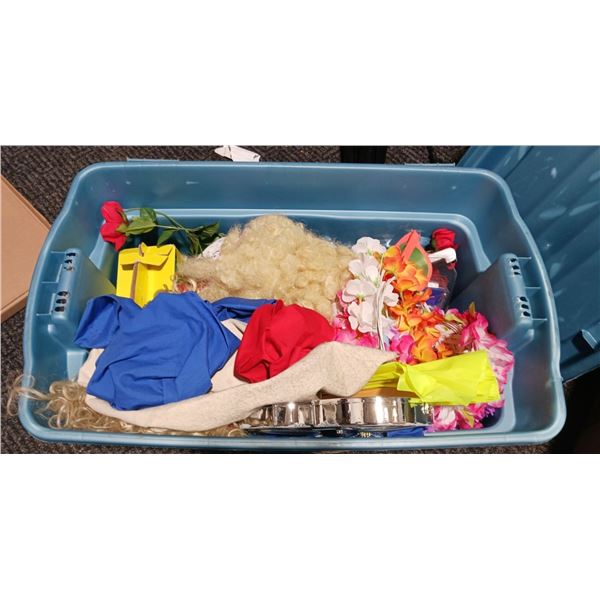 Variety of Costumes/Props