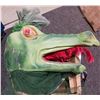 Image 1 : Dragon Costume