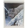 Image 2 : "behind the hemlock lynx by R.S. parker picture -26"x22"