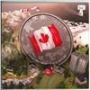 Image 1 : 2015 Canadian 20 Dollar coin, fine silver (99.99%)