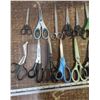 Image 2 : Assorted scissors