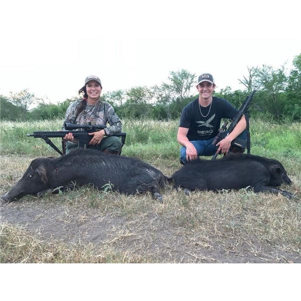 Hog Hunt