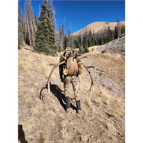 Archery Elk Hunt for 2