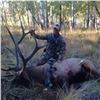 Image 3 : Archery Elk Hunt for 2