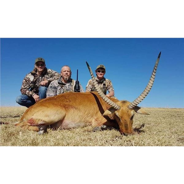 South African Safari