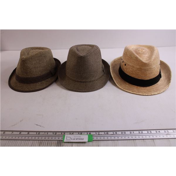 (3) Fedoras