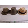 Image 1 : (3) Fedoras