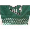 Image 2 : Pilsner Saskatchewan Roughriders Flag