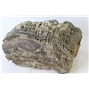 Image 4 : Fossilized Item - Slab of Marble