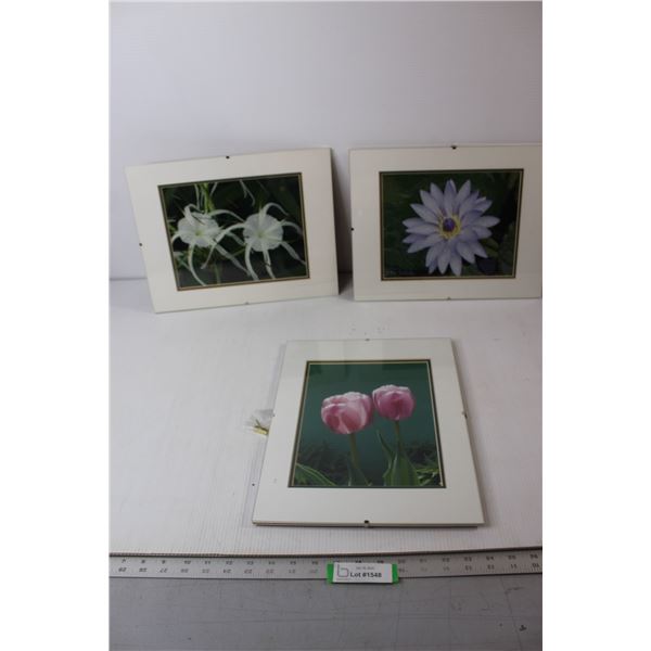 (3) Floral Pictures - 14" x 11"