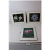 Image 1 : (3) Floral Pictures - 14" x 11"