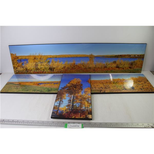 (3) Enlarged Photographs on Board (2 @ 40" x 9" - 1 @ 16" x 8")