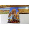 Image 2 : (3) Enlarged Photographs on Board (2 @ 40" x 9" - 1 @ 16" x 8")