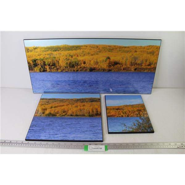 (3) Enlarged Photographs on Board (27" x 12" - 13" x 12" - 10" x 8")