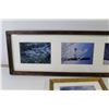 Image 4 : Framed Photographs (21 3/4" x 10 3/4" - 29 3/4" x 9 3/4")