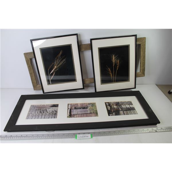 Framed Photographs (31 1/2" x 11 3/4" - 2 @ 11 1/4" x 14 1/2")