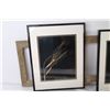 Image 3 : Framed Photographs (31 1/2" x 11 3/4" - 2 @ 11 1/4" x 14 1/2")