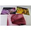 Image 2 : (11) Flower Photographs (14" x 11")