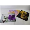 Image 3 : (11) Flower Photographs (14" x 11")