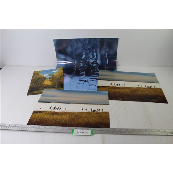 (4) Enlarged Photographs