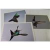 Image 4 : Humming Bird Pictures