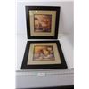 Image 1 : (2) Pictures in Frames - 16 1/4" x 16 1/4"