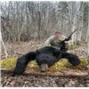 Image 2 : 1 Person Alberta Black Bear Hunt with 2 Bears