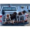 Image 2 : 3 day/4 night North Central Iowa Pheasant Hunt for 4