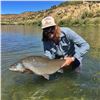 Image 2 : Guided Fly Fishing Trip for 2 in Durango, CO Area