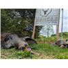 Image 2 : 3 Day Ohio Turkey Hunt for 2