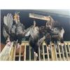 Image 2 : 3 Day New York Turkey Hunt for 1 with Franchi Affinity 20ga Shotgun