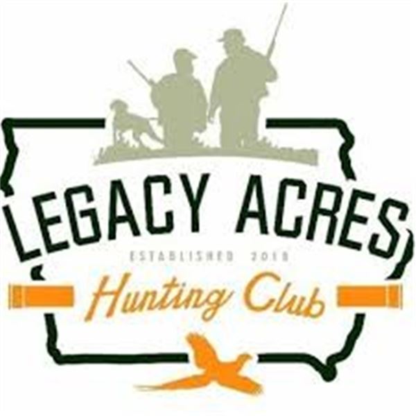 Iowa Pheasant Hunt for 4