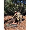 Image 1 : 5 Day Arizona Black Bear Hunt