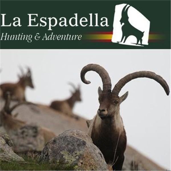 Spain Big Game Hunt