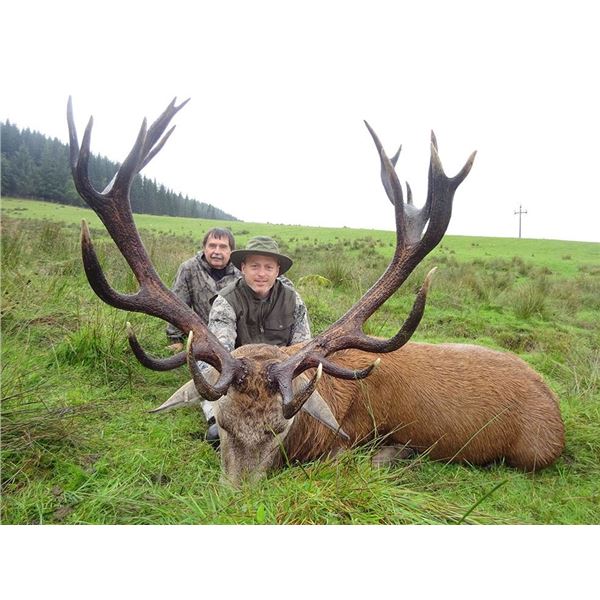 Scotland Red Stag Hunt
